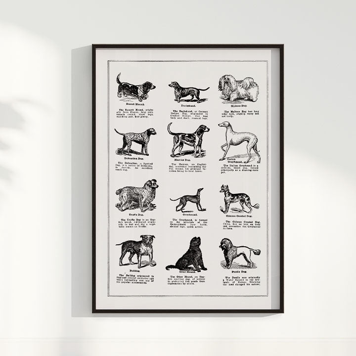 Quadro Vintage Dogs