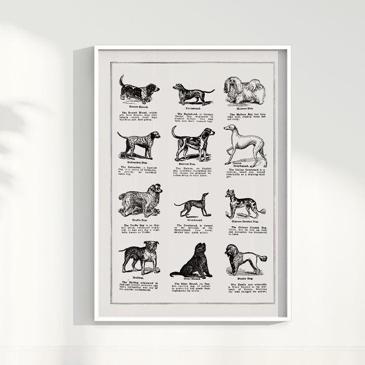 Quadro Vintage Dogs