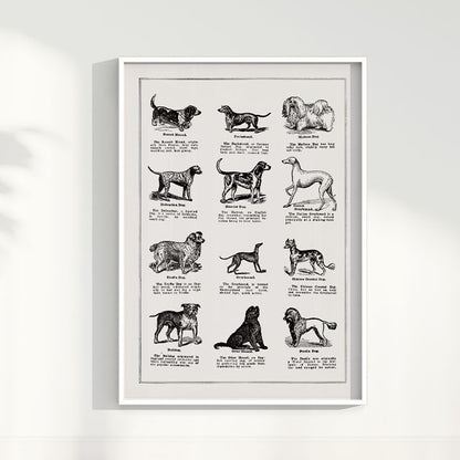 Quadro Vintage Dogs