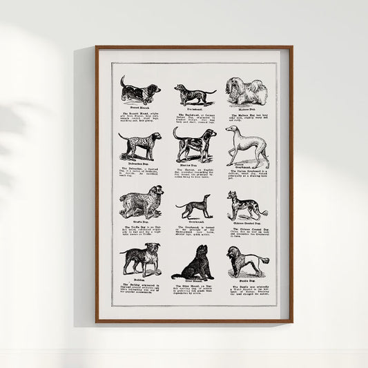 Quadro Vintage Dogs