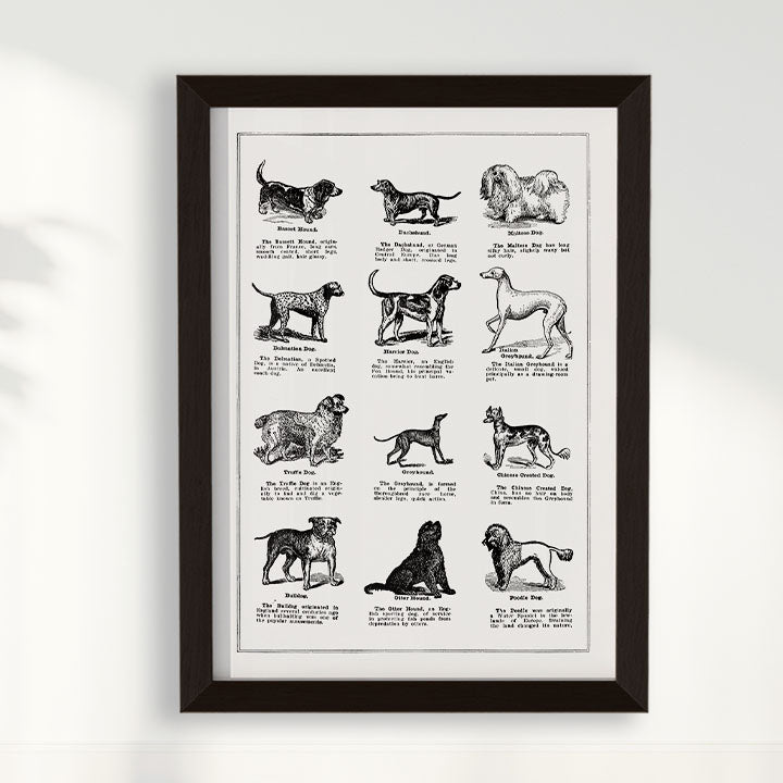 Quadro Vintage Dogs