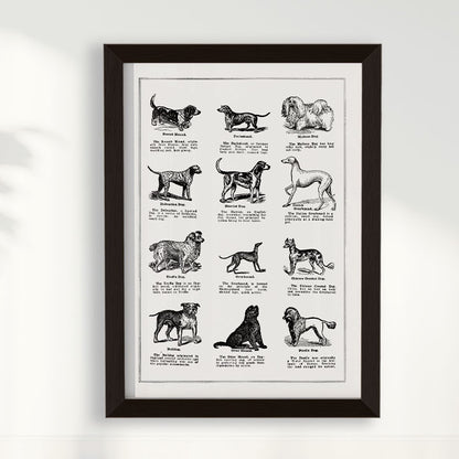 Quadro Vintage Dogs