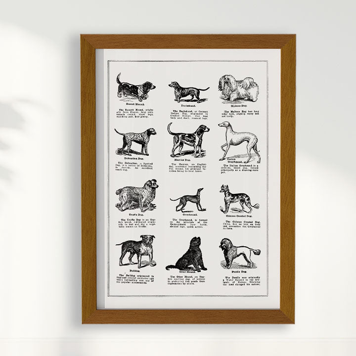 Quadro Vintage Dogs
