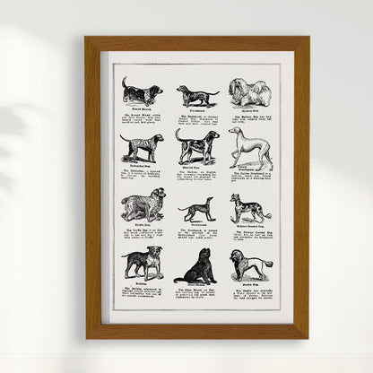 Quadro Vintage Dogs