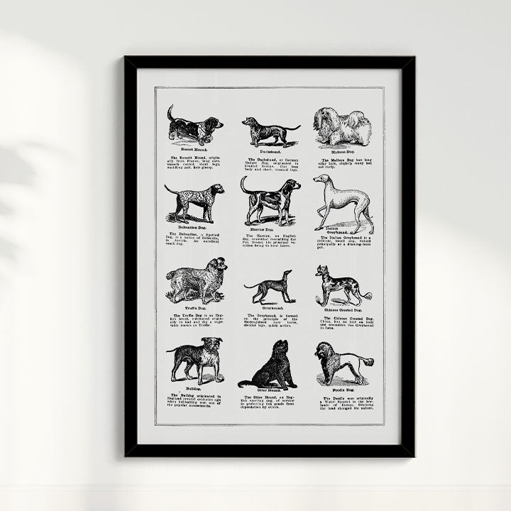 Quadro Vintage Dogs