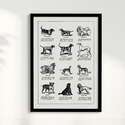 Quadro Vintage Dogs