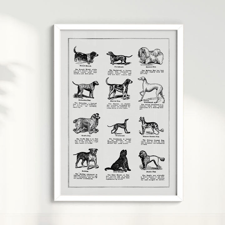 Quadro Vintage Dogs