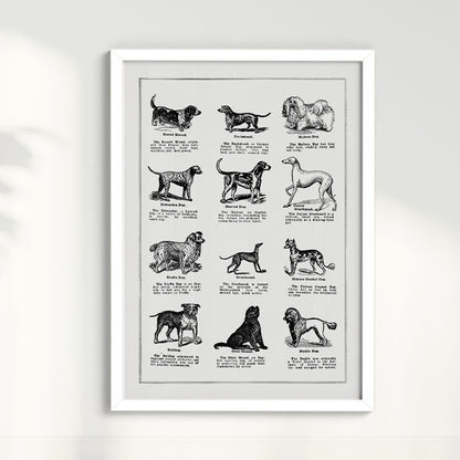Quadro Vintage Dogs