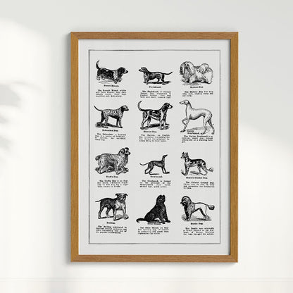 Quadro Vintage Dogs