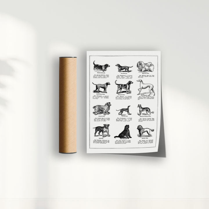 Quadro Vintage Dogs