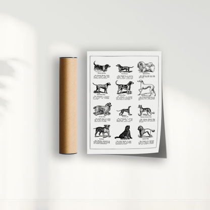 Quadro Vintage Dogs
