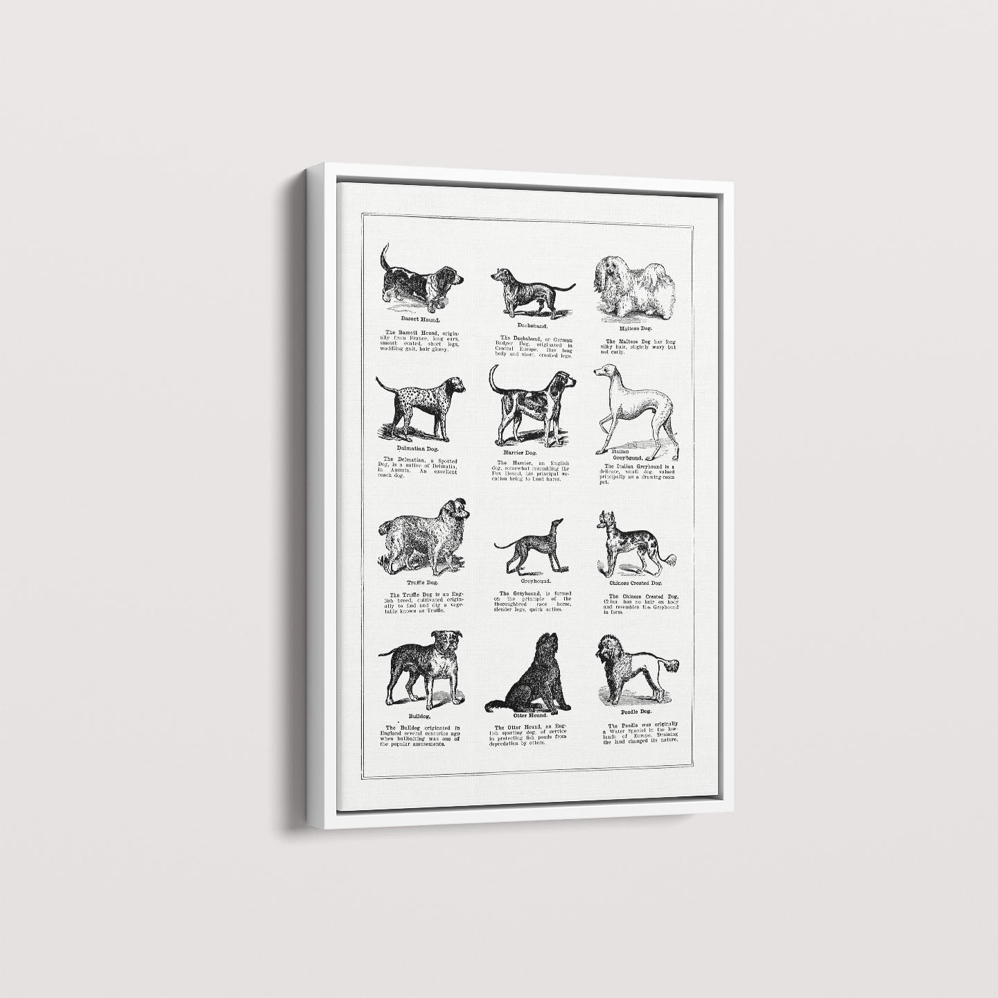 Quadro Vintage Dogs