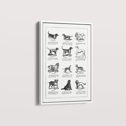 Quadro Vintage Dogs