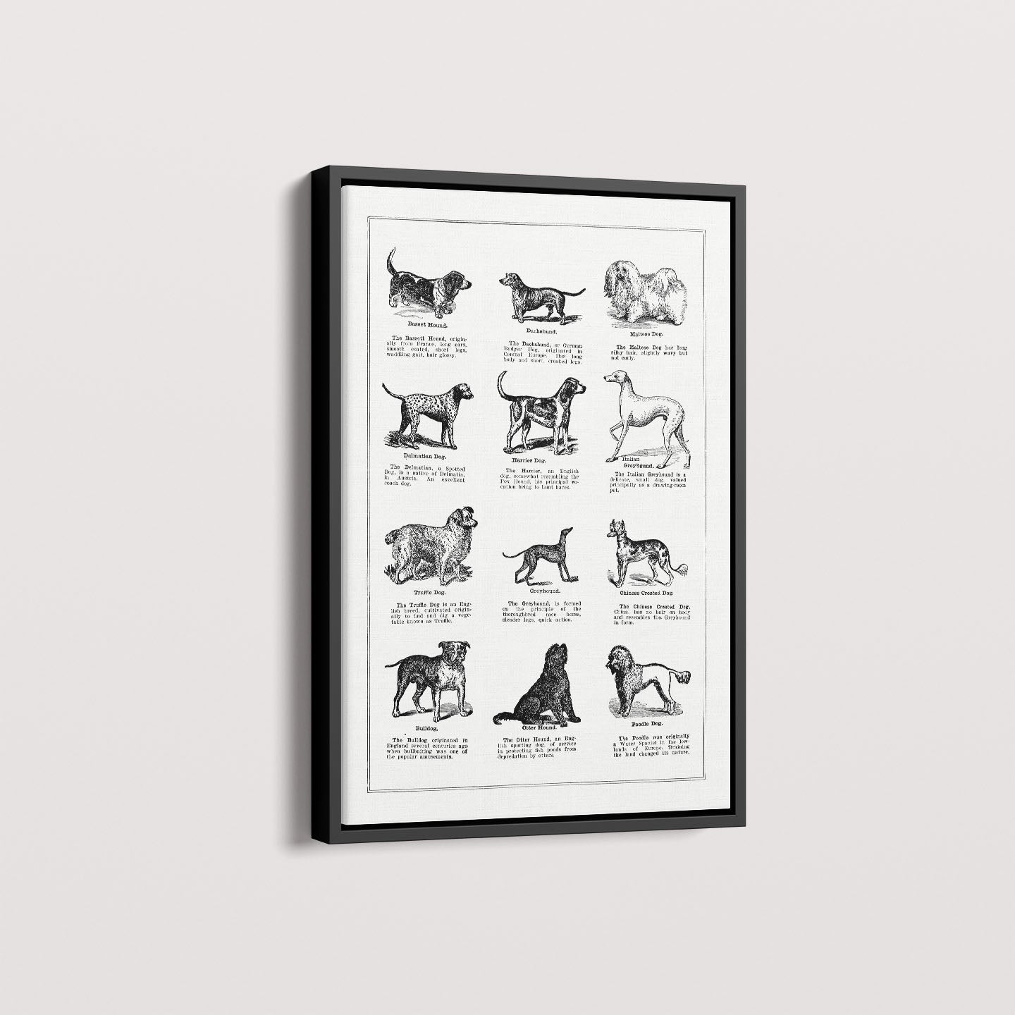 Quadro Vintage Dogs