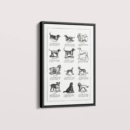Quadro Vintage Dogs