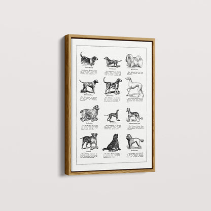 Quadro Vintage Dogs