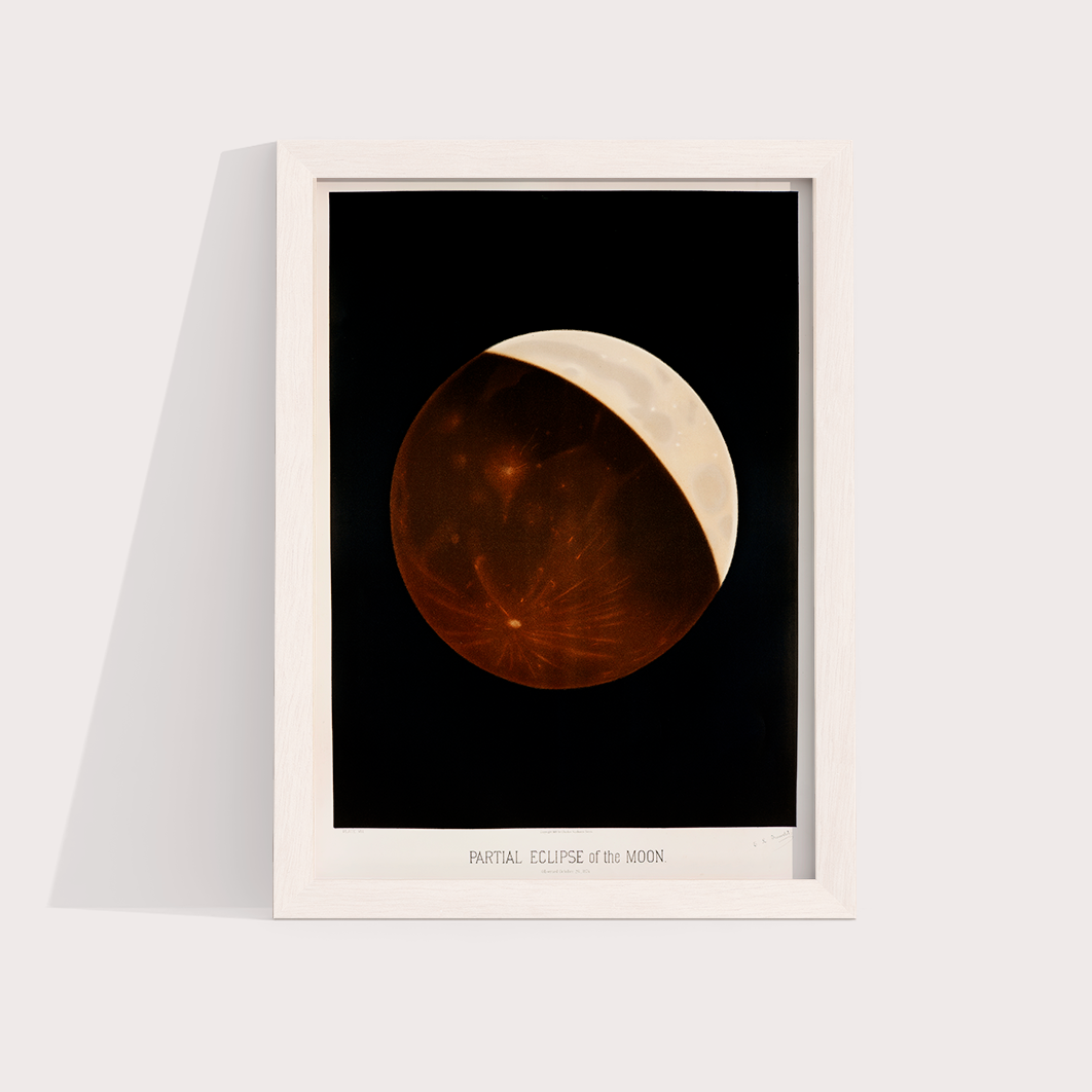 Eclipse da Lua Vintage