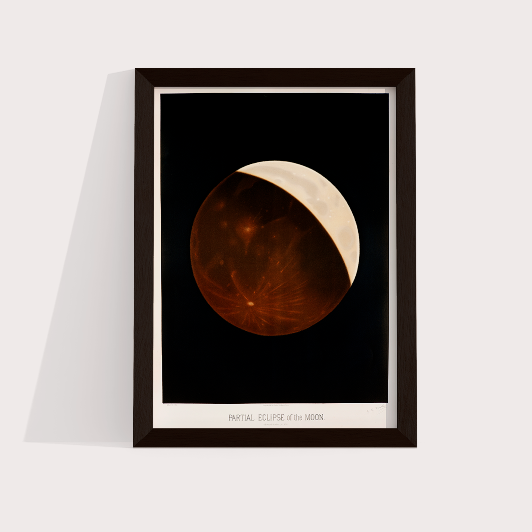 Eclipse da Lua Vintage
