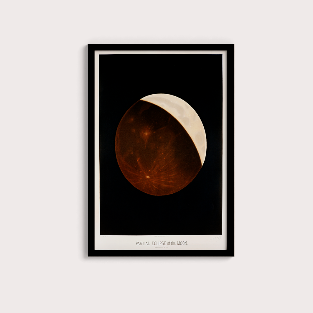 Eclipse da Lua Vintage