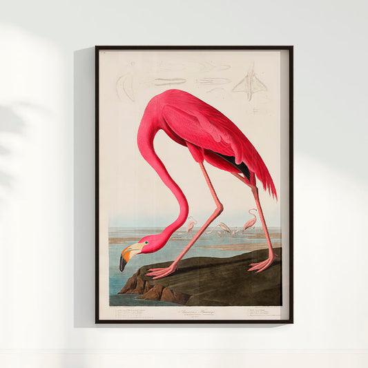 Quadro Poster Flamingo Vintage