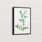 Quadro Blue flower III - Flor Chicory
