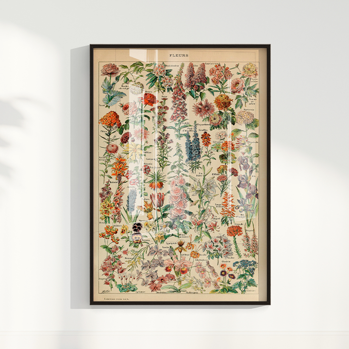Quadro Fleurs - flores vintage