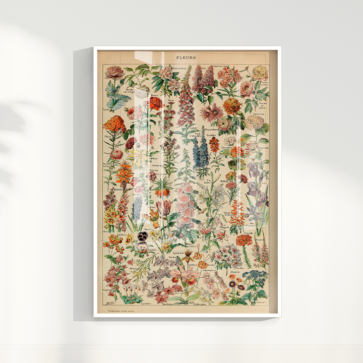 Quadro Fleurs - flores vintage