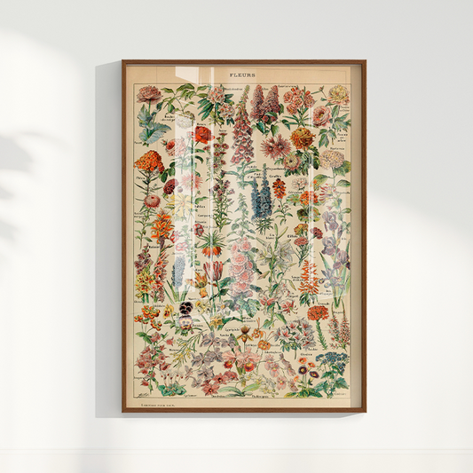 Quadro Fleurs - flores vintage