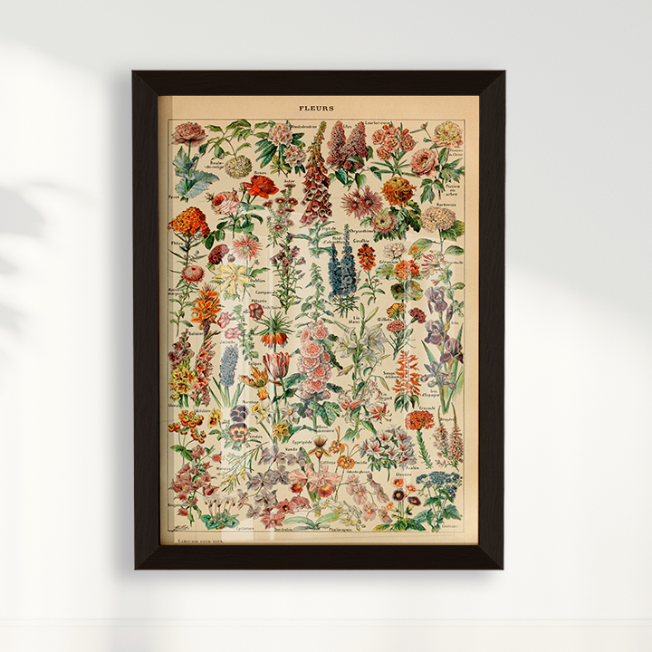 Quadro Fleurs - flores vintage