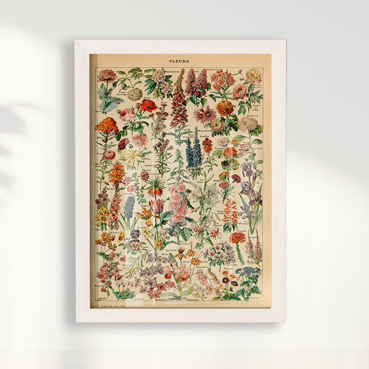 Quadro Fleurs - flores vintage