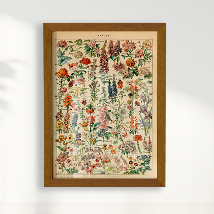 Quadro Fleurs - flores vintage