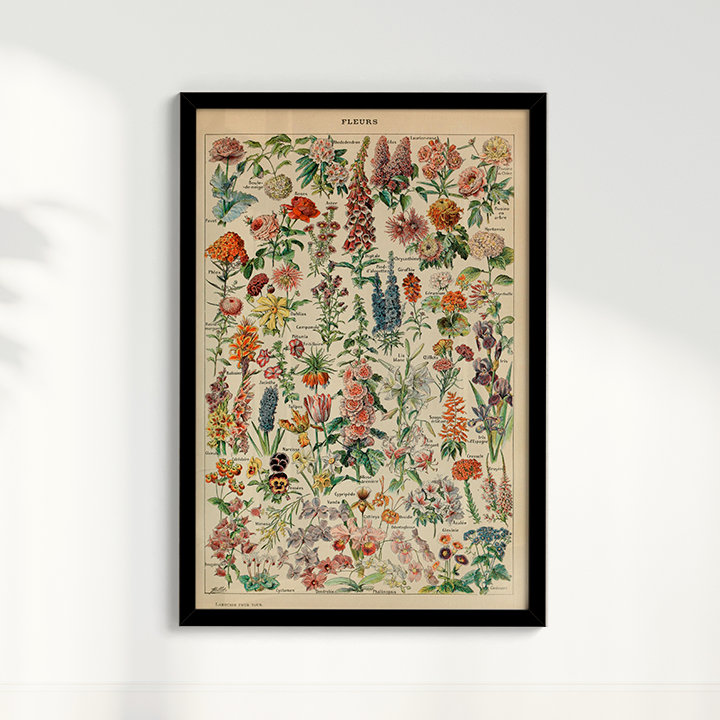 Quadro Fleurs - flores vintage