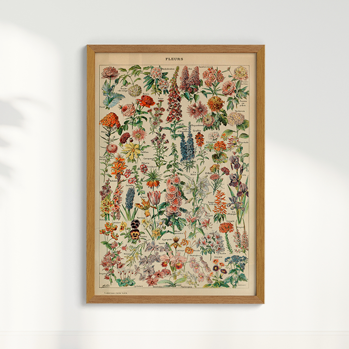 Quadro Fleurs - flores vintage