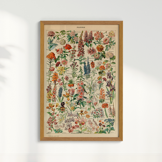 Quadro Quadro Fleurs - flores vintage A4 - Pronta Entrega
