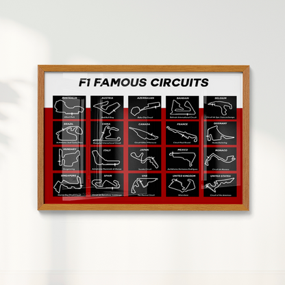 Formula 1 circuitos
