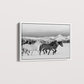 Wild horses