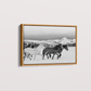 Wild horses