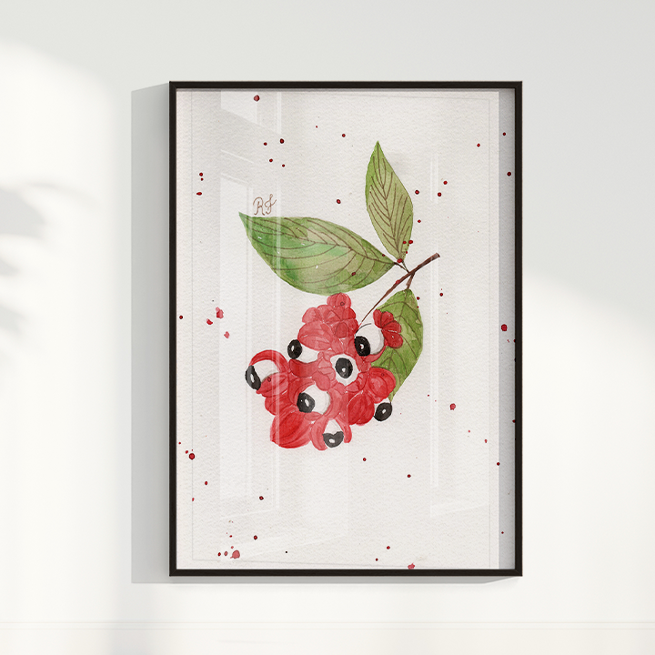 Quadro Fruta Guaraná por Aquarelando