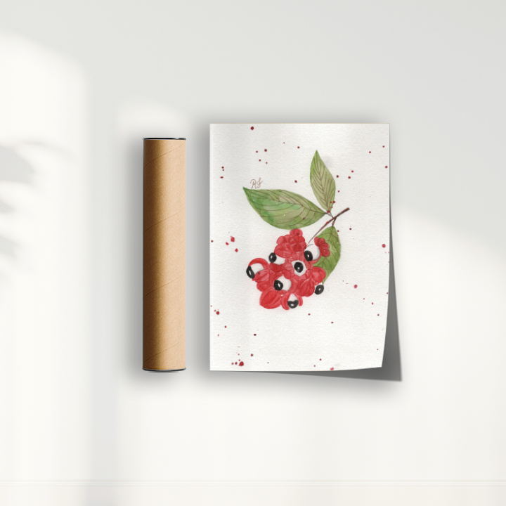 Quadro Fruta Guaraná por Aquarelando