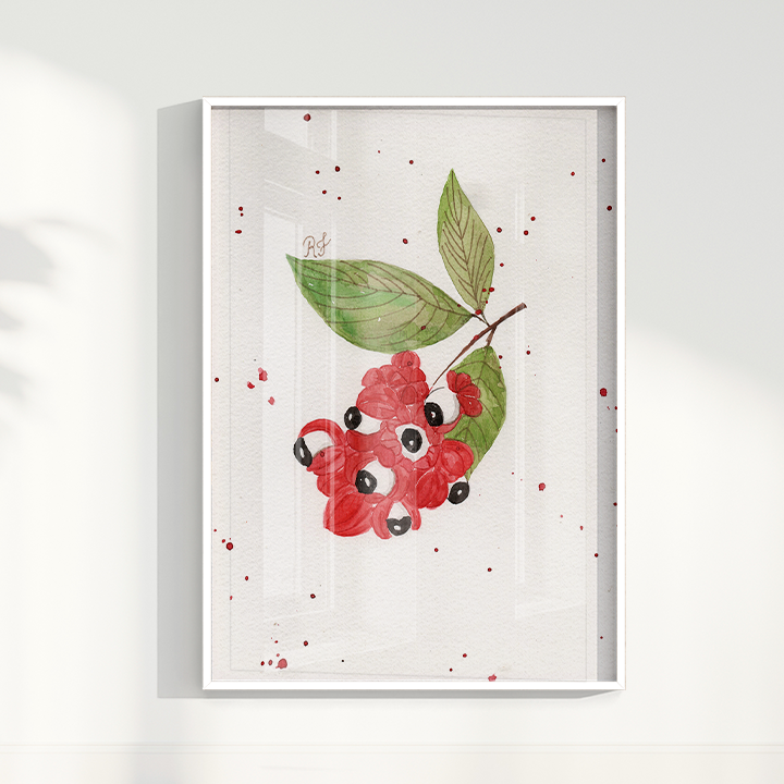 Quadro Fruta Guaraná por Aquarelando
