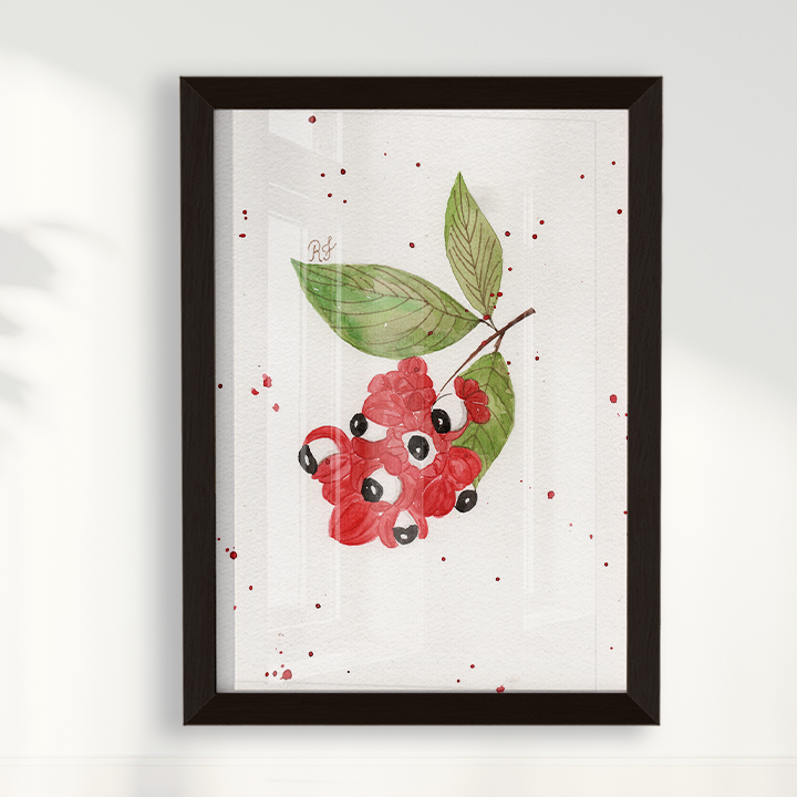 Quadro Fruta Guaraná por Aquarelando
