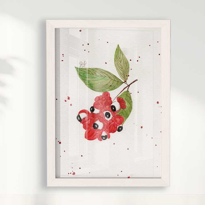 Quadro Fruta Guaraná por Aquarelando