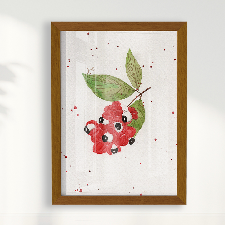 Quadro Fruta Guaraná por Aquarelando