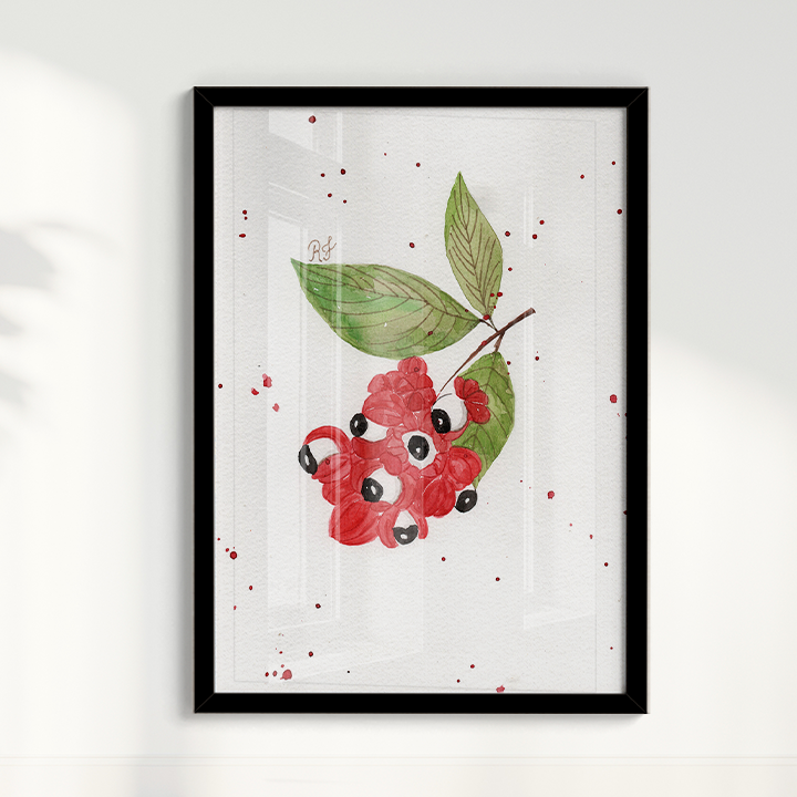 Quadro Fruta Guaraná por Aquarelando