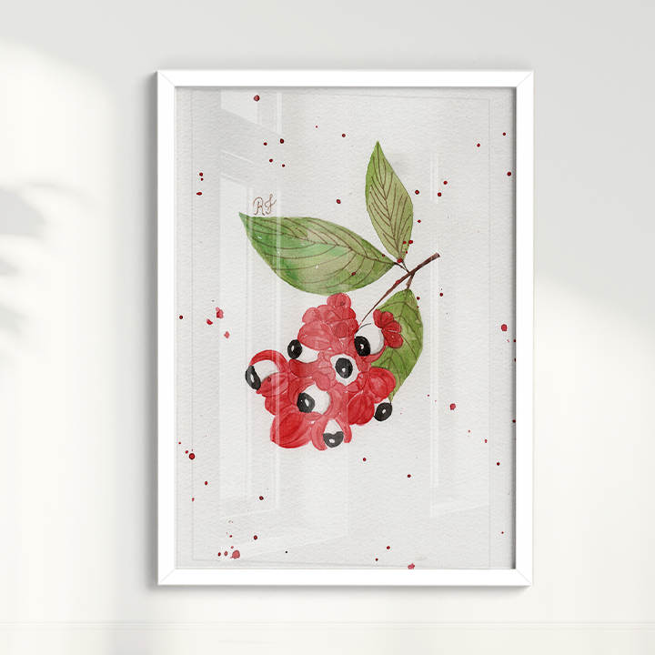 Quadro Fruta Guaraná por Aquarelando