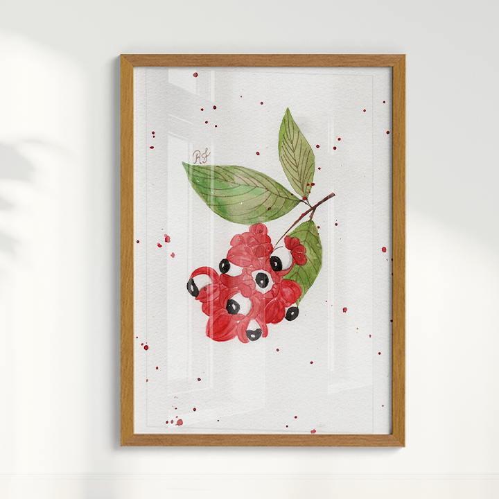 Quadro Fruta Guaraná por Aquarelando