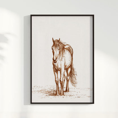 Quadro Horse