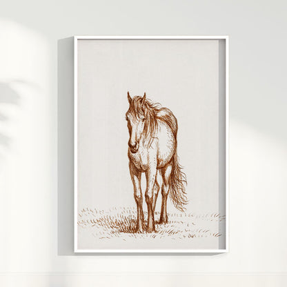 Quadro Horse
