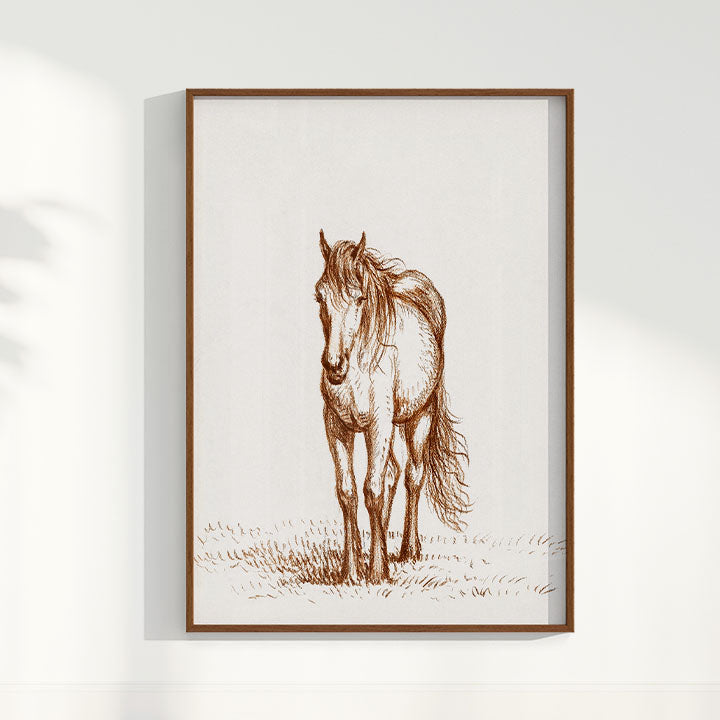 Quadro Horse