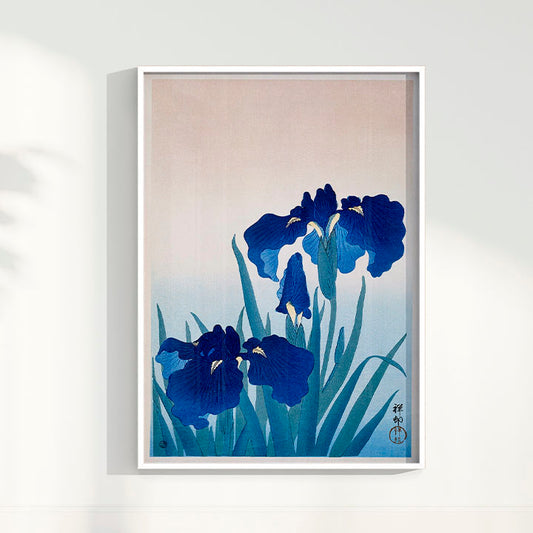 Quadro Iris Flowers por Ohara Koson
